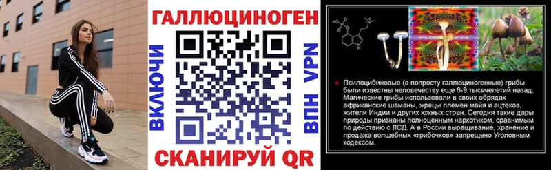 где можно купить   мега ссылка  Псилоцибиновые грибы Psilocybine cubensis  Горняк 